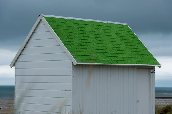 Où pratiquer le snorkeling au milieu des raies manta à Hawaii ?