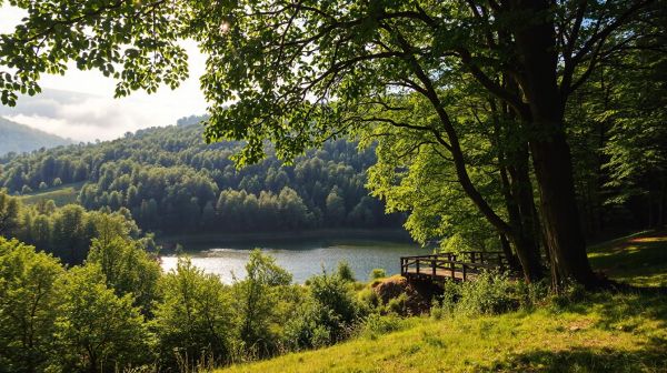 Pourquoi choisir le tourisme en Wallonie pour vos vacances?